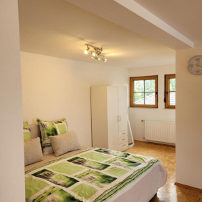 Appartement im Schwarzwaldhaus